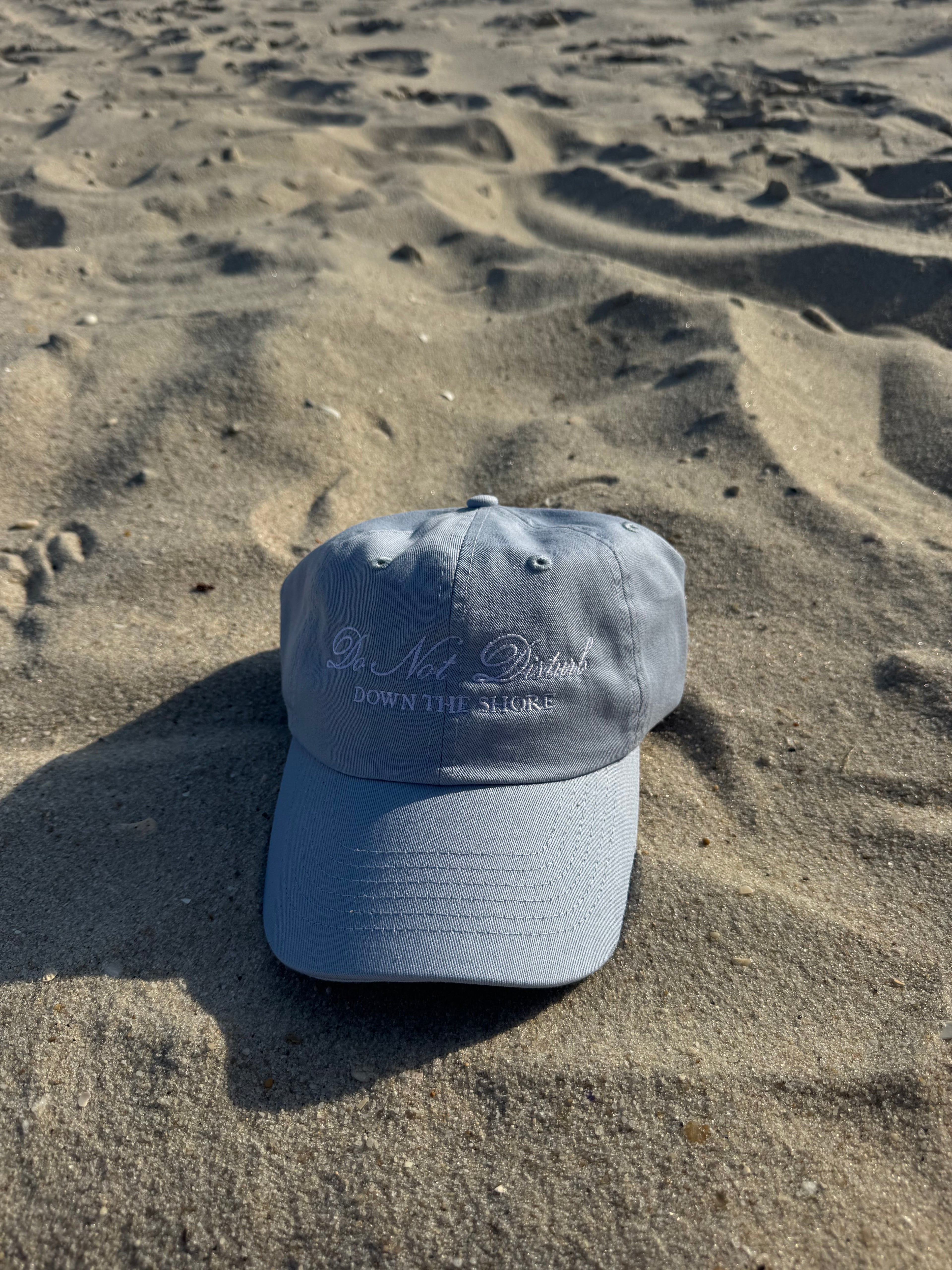 Do Not Disturb Dad Hat Light Blue